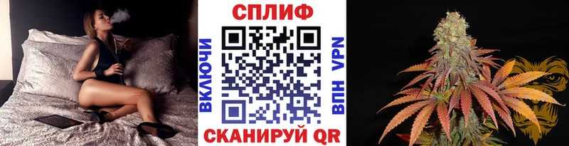 Бошки марихуана MAZAR  Находка 